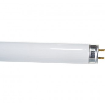 Лампа люминесцентная OSRAM L 18W/765 18Вт T8 6500К G13